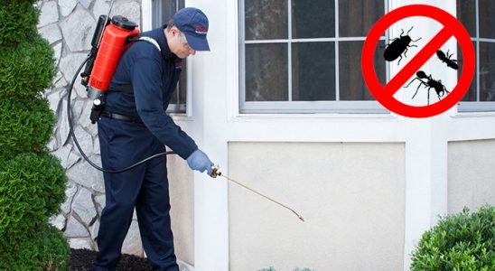 Çatalzeytin Akrep İlaçlama böcek ilaçlama ve haşere kontrolü — ilaclama-tr.com
